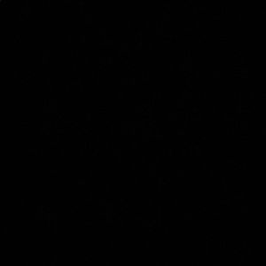 Meet your Posher, Shontae